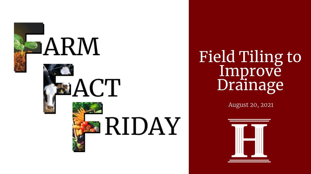 Farm Fact Friday | Field Tiling to Improve Drainage