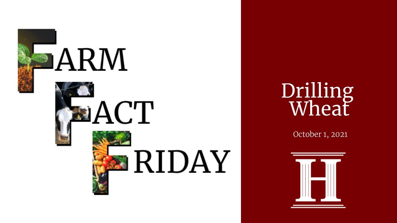 Farm Fact Friday | Drilling Wheat
