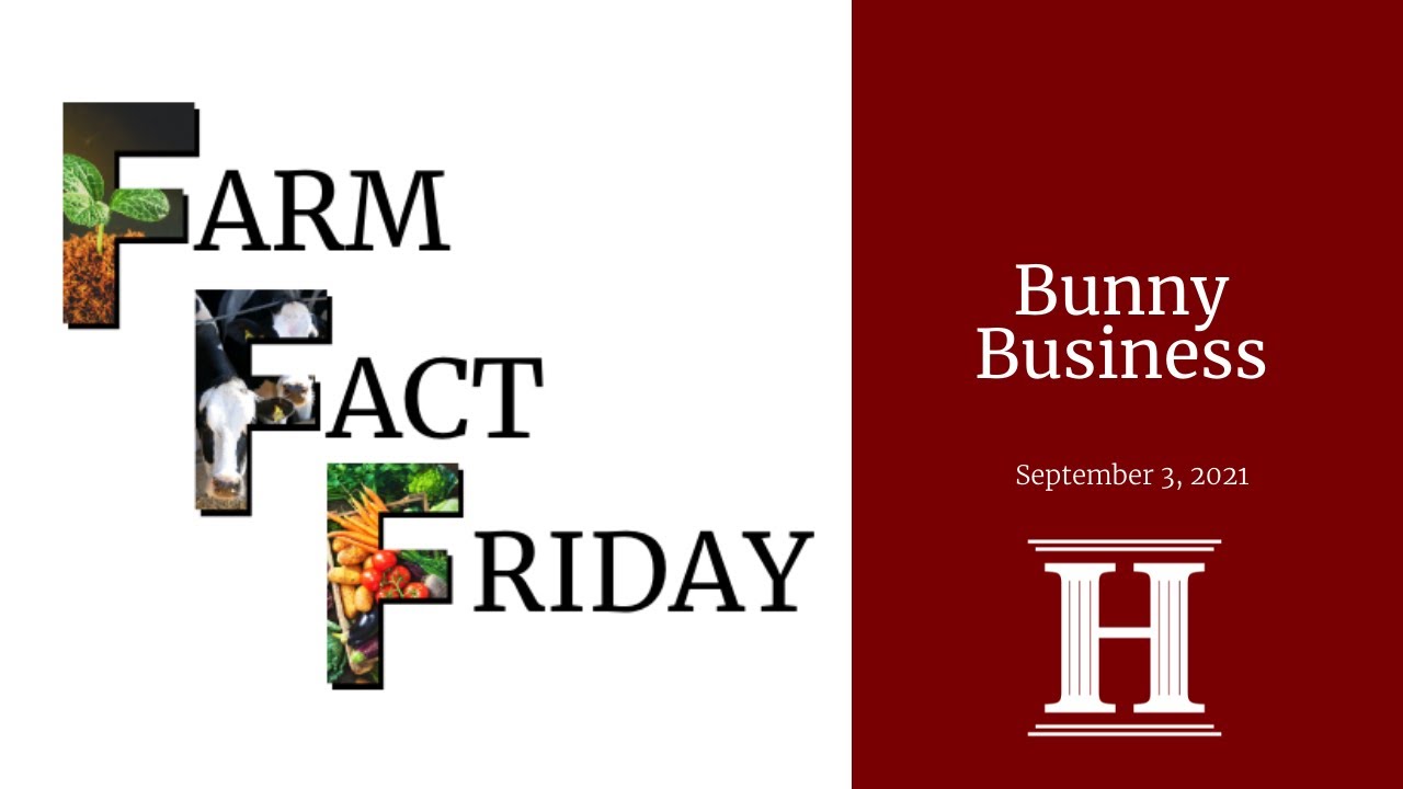 Farm Fact Friday | Bunny Business