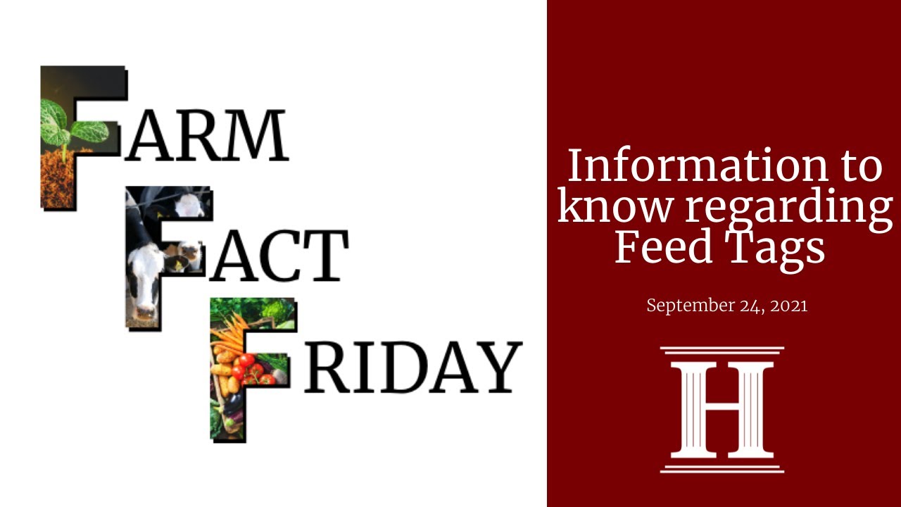 Farm Fact Friday | Information to know regarding Feed Tags