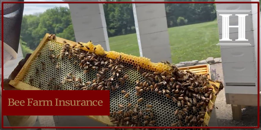 bee farm insurance