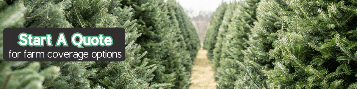 Christmas Tree Farm Insurance What You Need To Know