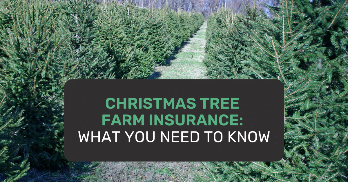 Christmas Tree Farm Insurance What You Need to Know