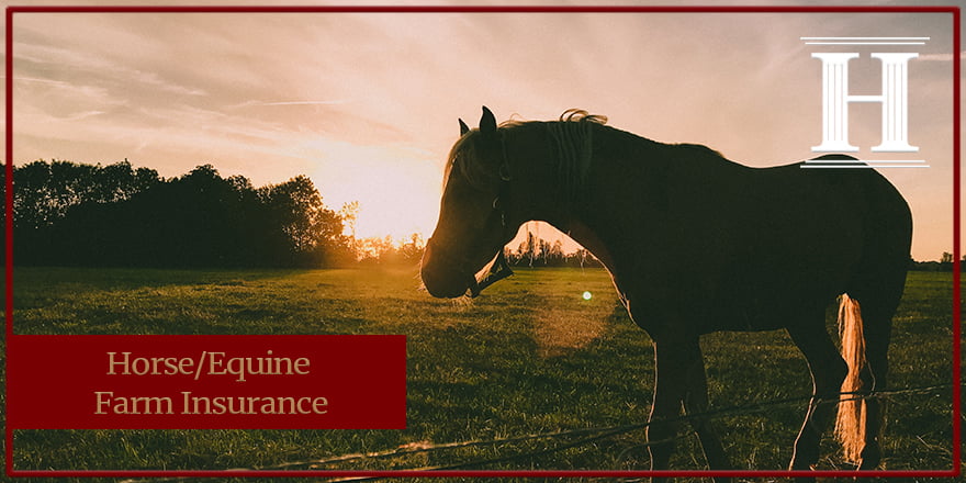 Horse/Equine Farm Insurance