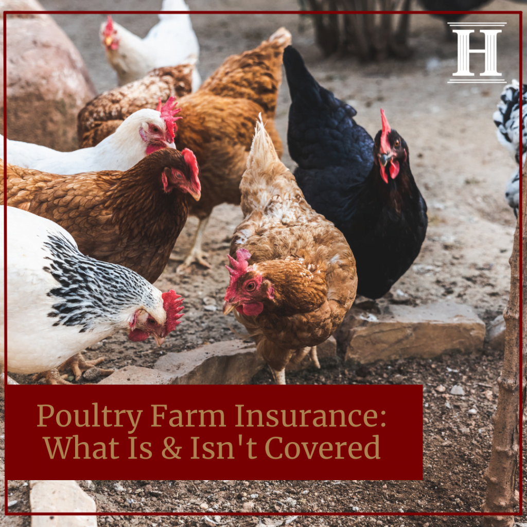 poultry farm insurance