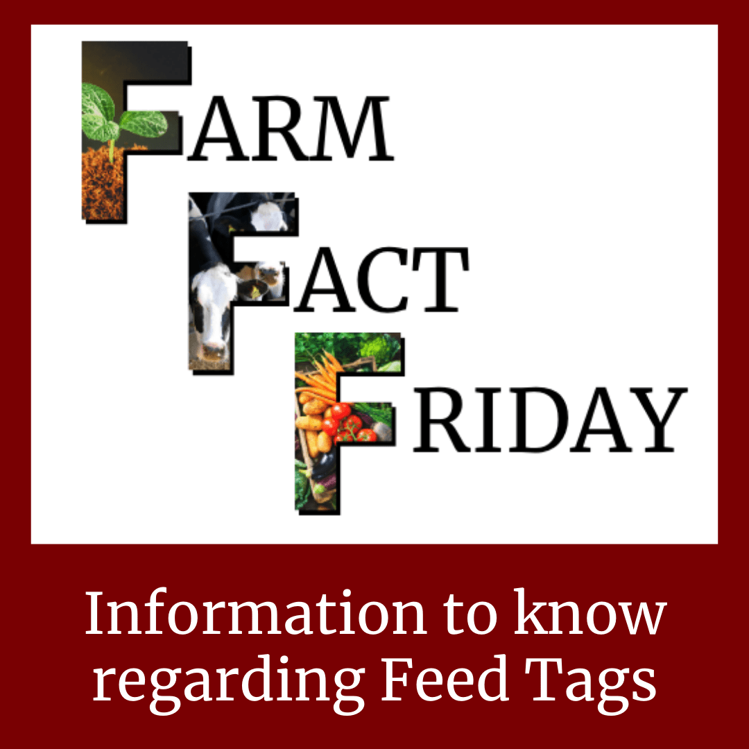 Information to know regarding Feed Tags