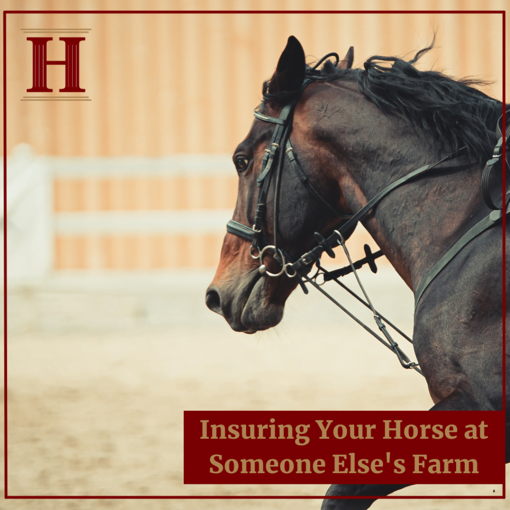 Insuring Your Horse at Someone Else's Farm