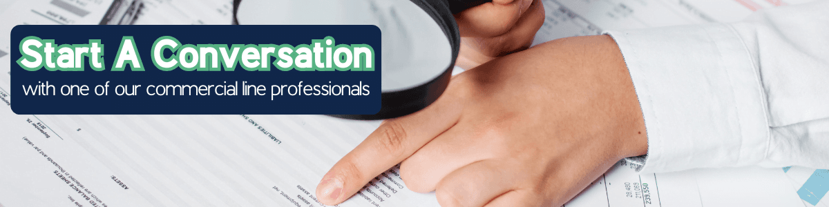Insurance Audit Series