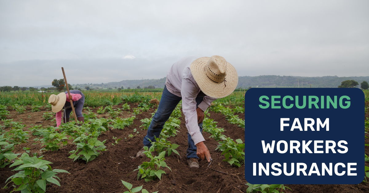 Securing Farm Workers Insurance